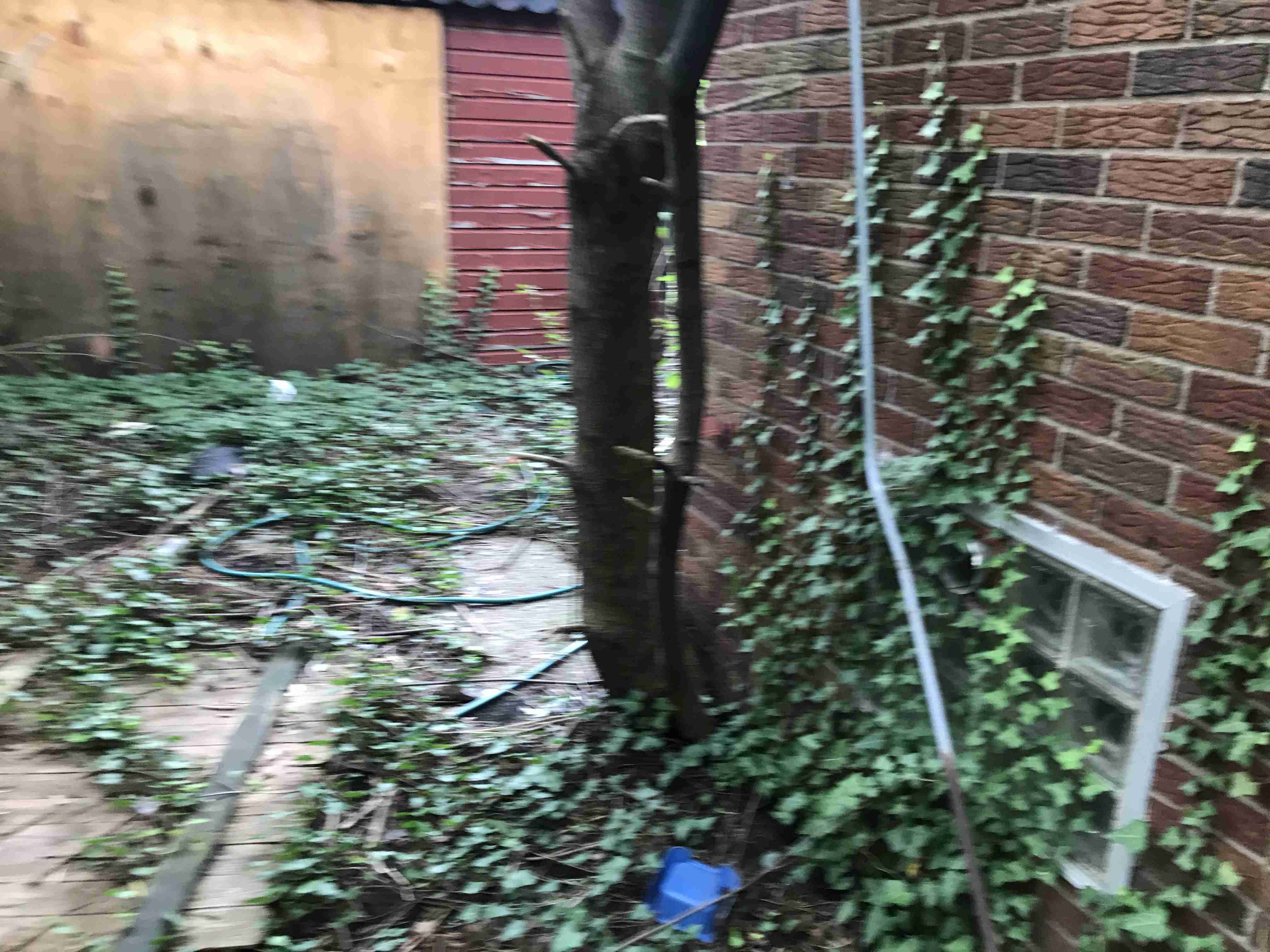 Photo Sep 10, 2 06 13 PM.jpg